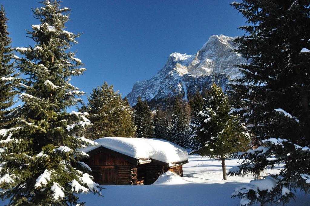 Hotel Alpen Residence Ервальд Екстер'єр фото